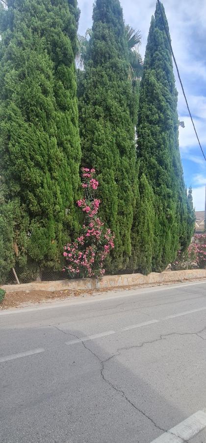 Coqueto Apartamento Murcia Exteriör bild